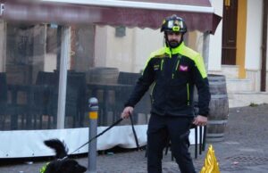 Si perde mentre cerca legna da ardere: ritrovato grazie al fiuto di Kimba