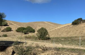Allarme siccità in Sardegna: chiesto stato di calamità naturale