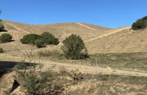 Allarme siccità in Sardegna: chiesto stato di calamità naturale