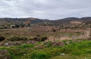 Rabbia a Sinnai: dal 2007, in 50 pagano l’Imu per terreni vuoti