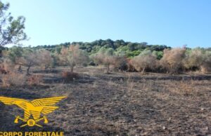 Appicca un incendio dopo lite coi vicini: ora è indagato