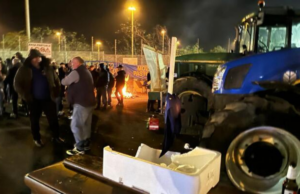 Protesta di pastori e allevatori: prima notte al porto di Cagliari