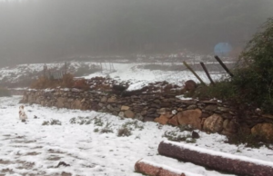 Sardegna, estesa allerta per maltempo: oltre la pioggia, ecco la neve