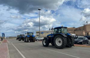 Protesta Trattori: gli agricoltori sardi chiedono incontro con la Meloni