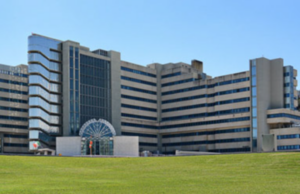 Brotzu, nominati i nuovi direttori di dipartimento