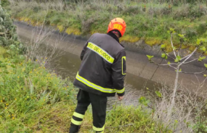Zerfaliu, ricerche a tappeto per trovare Concetta Reale