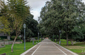 Cagliari, 7 alberi colpiti da funghi: interventi in tutta la città