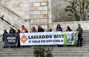 Cagliari, animalisti contro la tradizione: “Pasqua senza carne”