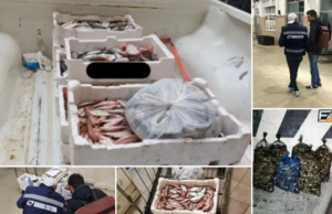 Pesce non a norma: sequestrati 190 kg al mercato ittico di Cagliari