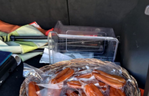 Cagliari, pesci non tracciati in vendita: multa salata agli ambulanti