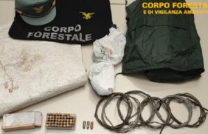 Caccia illegale, due denunce | Cinghiale colpito con un arpione da sub