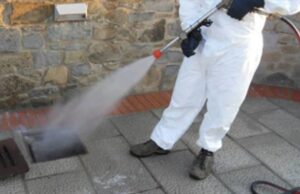 Troppe blatte, a Muravera scatta la disinfestazione