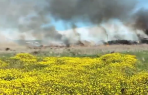 Grosso incendio a Monserrato: fiamme vicine alle abitazioni