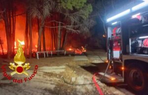 Tremendo incendio nella pineta di Capo Comino, pompieri al lavoro per 4 ore