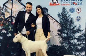 World Dog Show: bull terrier sardo vince il titolo mondiale