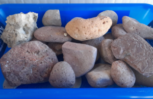 Preleva sassi e tenta di portarli a casa: fermato turista di Rimini