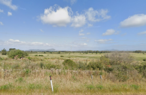 Agricoltura, Piana (CSA): “Mille ettari di terreno fertili abbandonati”