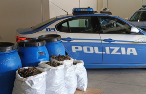 Orosei, scoperti e sequestrati in campagna 20 kg di marijuana