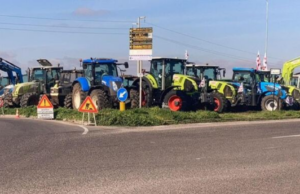 Allarme siccità: agricoltori di nuovo in marcia per l’isola