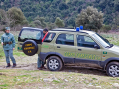 Bracconaggio, armi clandestine e droga: 8 misure cautelari nel Cagliaritano