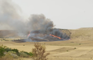 Tre incendi in due giorni a Guasila, Casula: “Una battaglia continua”