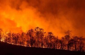 Bollettino giallo per il 15 giugno: rischio incendi nella zona di Cagliari
