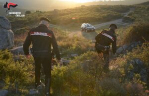 Operazione antidroga a Sinnai: sequestrate 68 piante di canapa