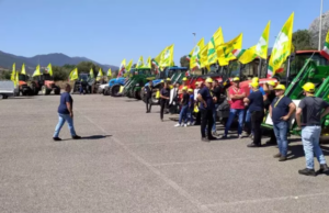 Siccità, le associazioni in Consiglio regionale | Giovedì manifestazione Coldiretti