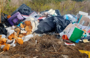 Abbandona i rifiuti in campagna: maxi multa per un dentista