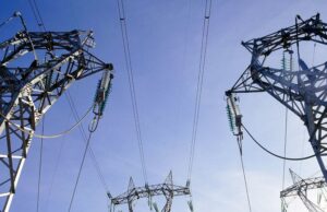 Miami, i cani di un emigrato sardo folgorati da un guasto elettrico