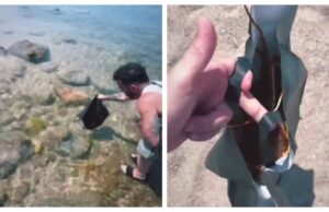 Salmo libera un’aragosta in mare: “Non ho potuto mangiarla”