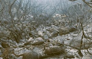 Orotelli, in fumo un intero gregge: allevatore perde tutto nell’incendio