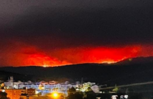 Mostruoso incendio a Nuoro: operatori al lavoro tutta la notte