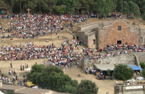 Ambientalisti contro l’Ardia: “Un massacro di cavalli inaccettabile”