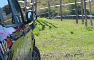 Tragedia a Illbono: 74enne ucciso dal colpo di una benna