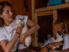 Caterina Murino è in Sardegna: inizia il tour per aiutare i rifugi in difficoltà