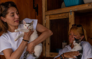 Caterina Murino è in Sardegna: inizia il tour per aiutare i rifugi in difficoltà