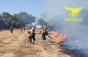 Incendi, ripartito il rogo di Orotelli | Paura anche a Usellus