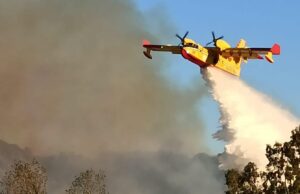 Fenu (M5s): “Pale eoliche ostacolano mezzi aerei antincendio, serve una legge”