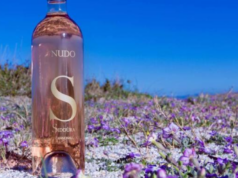 È sardo il miglior rosé al mondo: premiato “Nudo 2023” di Siddùra
