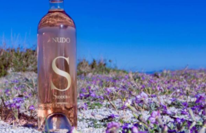 È sardo il miglior rosé al mondo: premiato “Nudo 2023” di Siddùra