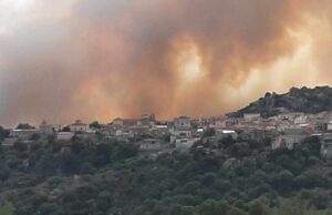 Incendio a Orotelli, drammatica conta dei danni: morti 300 capi ovini