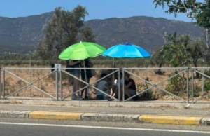 Capoterra, attesa del bus sotto gli ombrelloni: “Non è Africa”