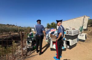 Quartu, scoperto canile abusivo: animali in gravi condizioni