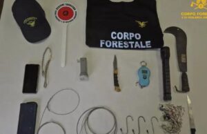 Oristano, denunciati per aver ucciso un cinghiale con una roncola