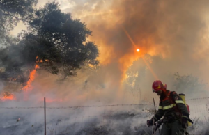 Sabato d’incendi in Sardegna: due forestali in ospedale per malore