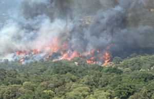 Calangianus, grosso incendio riparte: intervento dei canadair