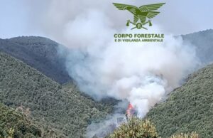 Sardegna in fiamme: 16 incendi in un giorno, 4 Canadair in azione