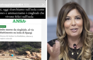Abbattimento cinghiali, Selvaggia Lucarelli: “La colpa è dei turisti”