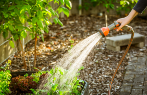 Emergenza a Muravera: scattano limitazioni nell’uso dell’acqua
